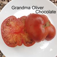Grandma Oliver Chocolate 